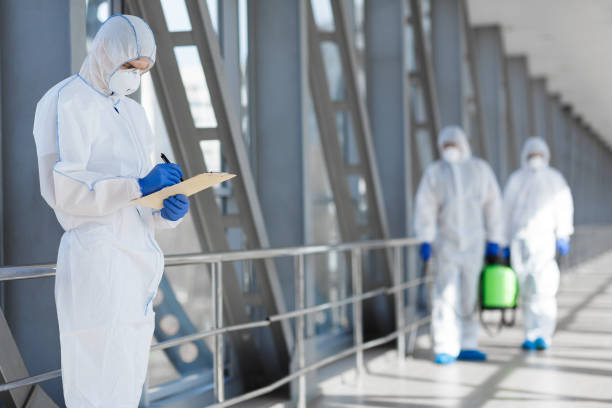 Dehumidification Services in Port Hueneme, CA