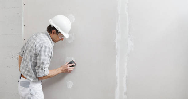 Best Asbestos and Lead Testing During Mold Inspection  in Port Hueneme, CA