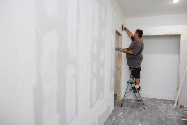 Professional Mold Removal in Port Hueneme, CA